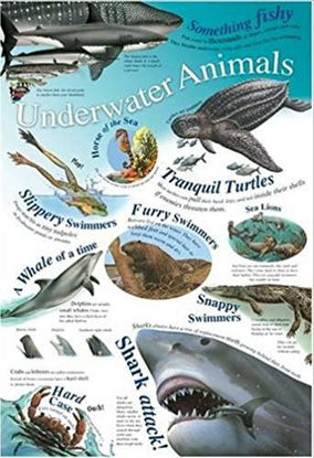 Picture of Underworld Animals Wall Chart / Poster - 76cm x 52cm