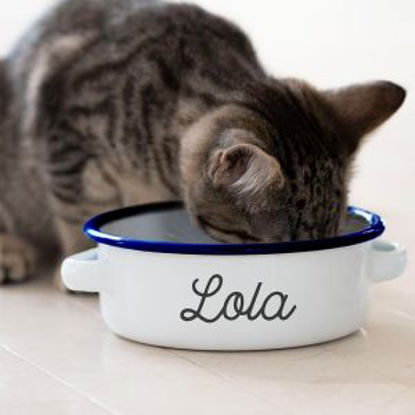 Picture of Personalised Enamel Cat Bowl