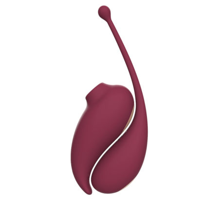 Picture of Adrien Lastic Inspiration Clitoral Suction Stimulator and Vibrating Egg