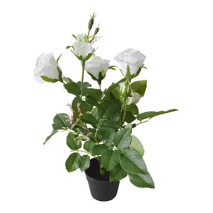 Picture of Artificial White Rose