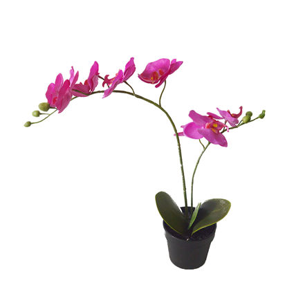 Picture of Artificial Pink Orchid