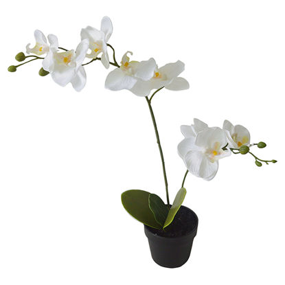Picture of Artificial White Orchid