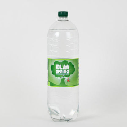Picture of Elm Spring Sparkling Water 2l