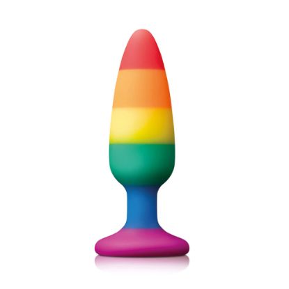 Picture of Pride Pleasure Plug Rainbow Medium